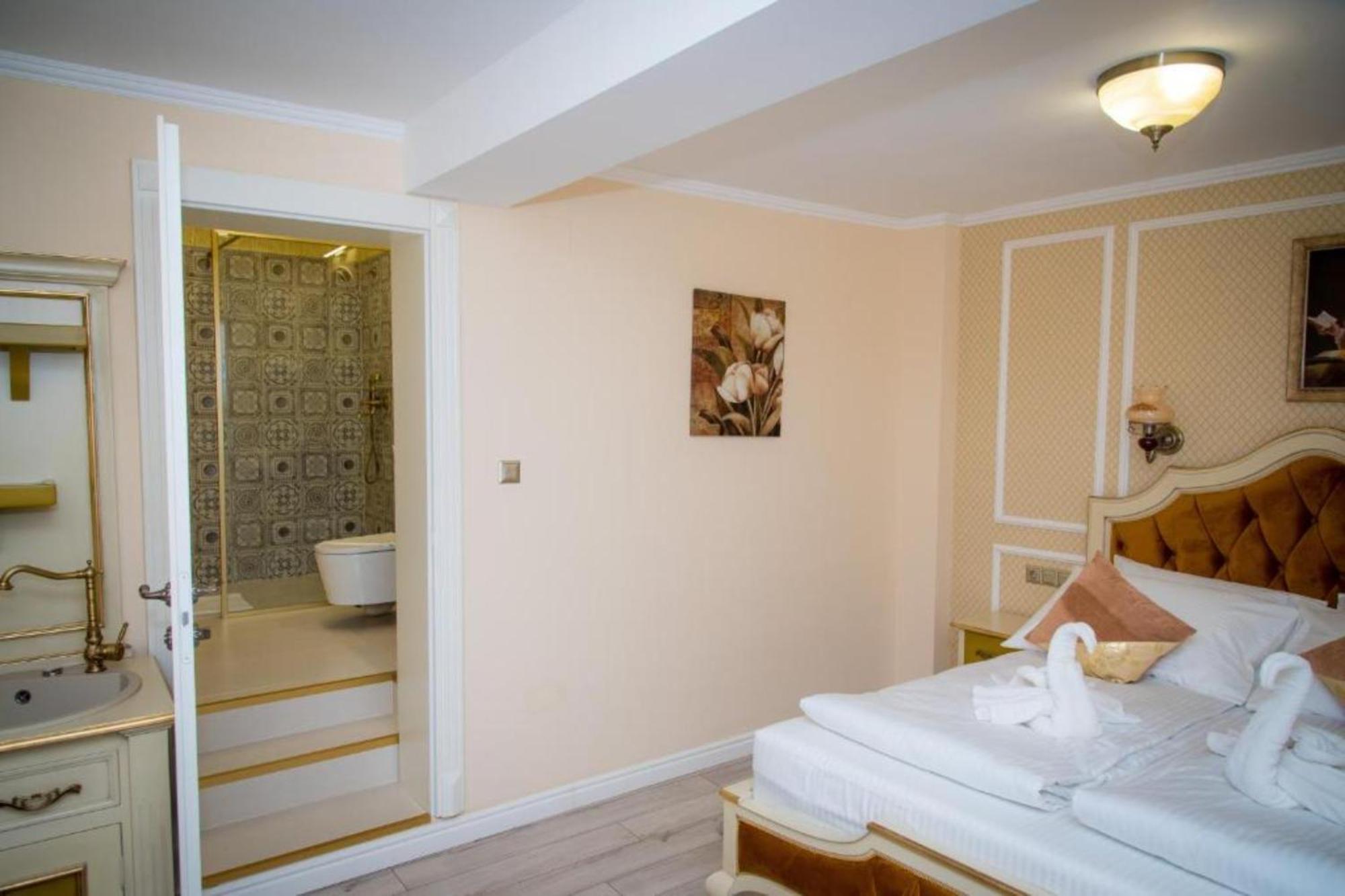 Cochet House Sibiuアパートホテル エクステリア 写真
